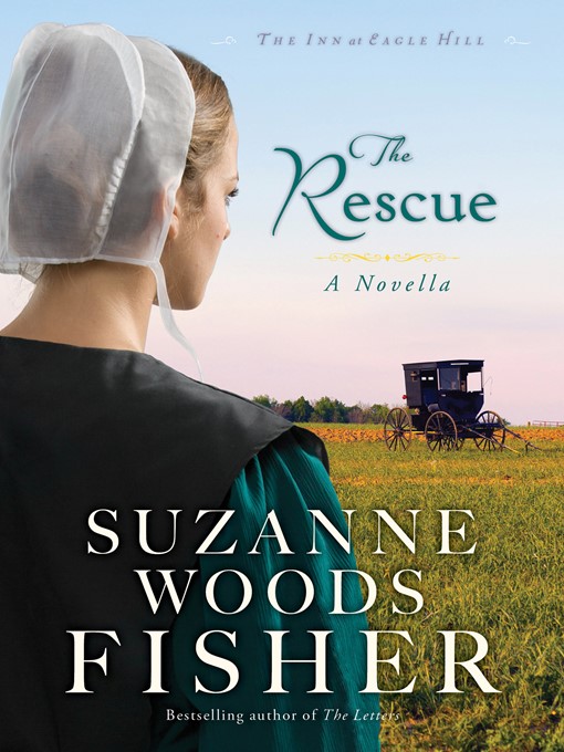 Title details for The Rescue by Suzanne Woods Fisher - Wait list